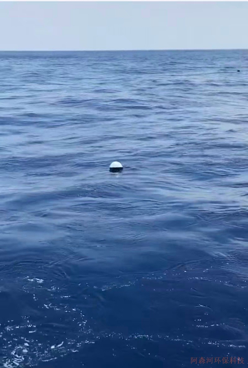 阿森河波浪浮标