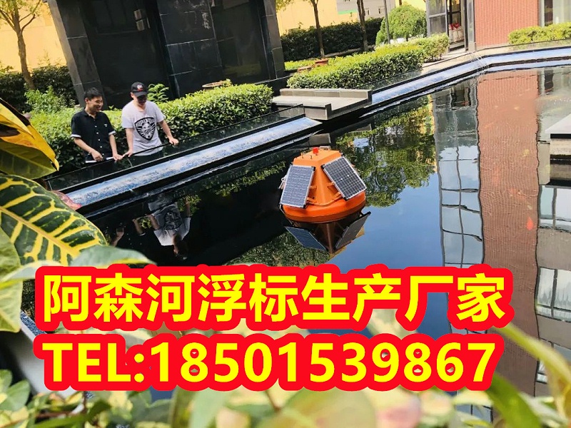  浮标