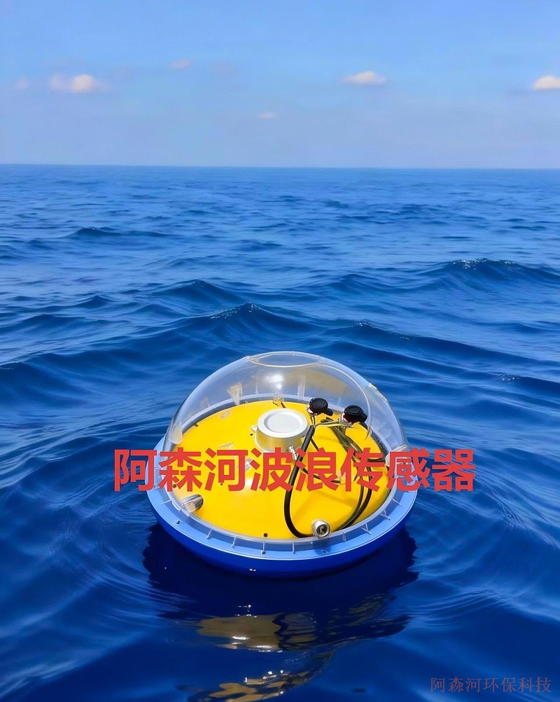 阿森河海洋波浪浮标