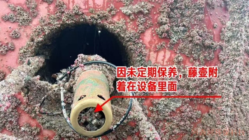海洋浮标